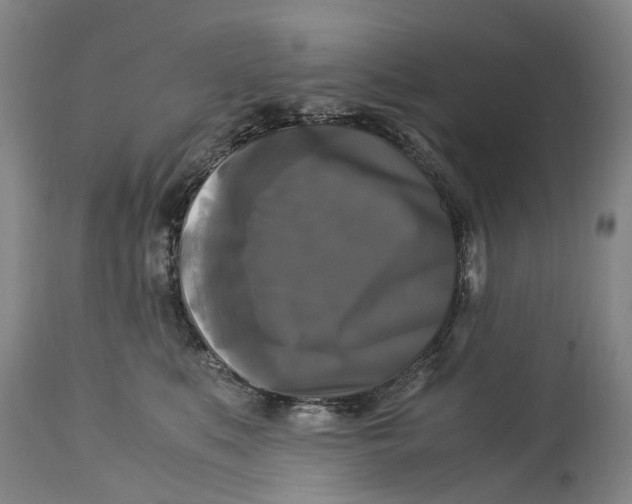 X0000115100519200911171244