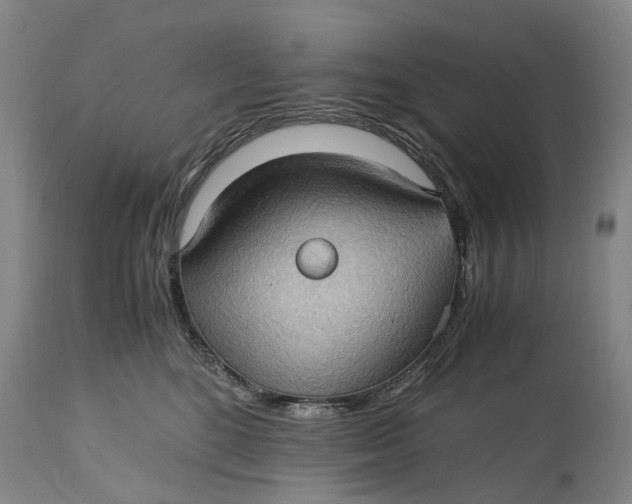 X0000115100520200911171244