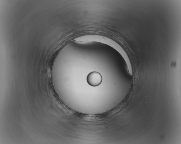 X0000115100521200911171244