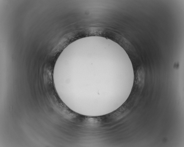 X0000115100522200911171244