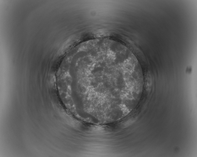 X0000115100523200911171243