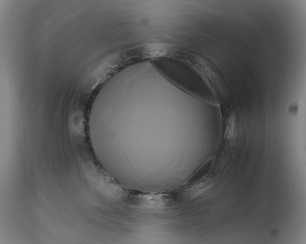 X0000115100524200911171243