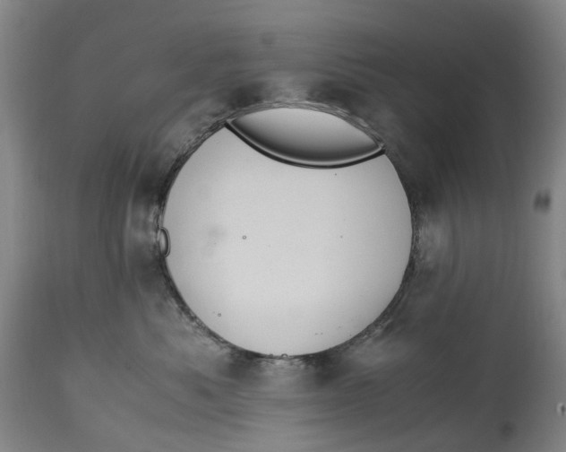 X0000115100525200911171243