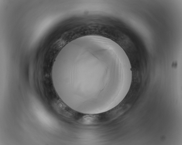 X0000115100526200911171243