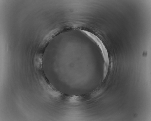 X0000115100527200911171243