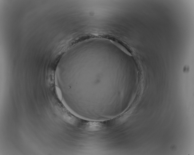 X0000115100528200911171243