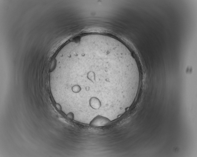 X0000115100529200911171243