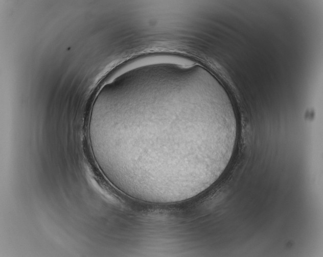 X0000115100530200911171243