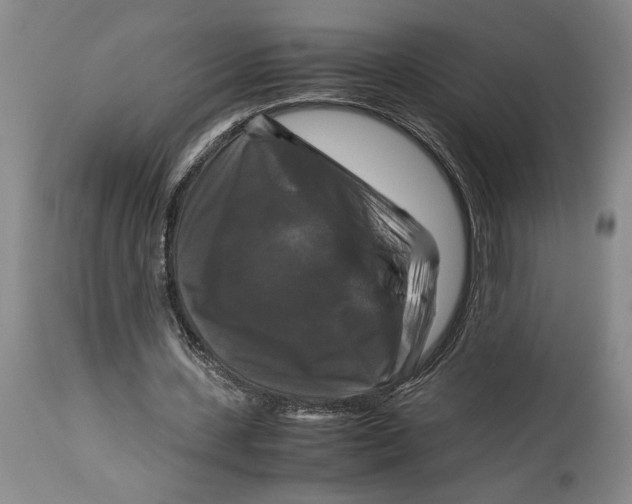 X0000115100531200911171243