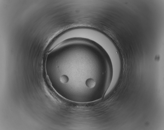 X0000115100534200911171243