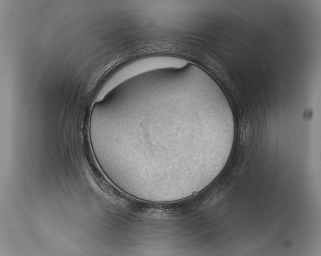 X0000115100538200911171243