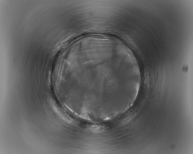 X0000115100542200911171243