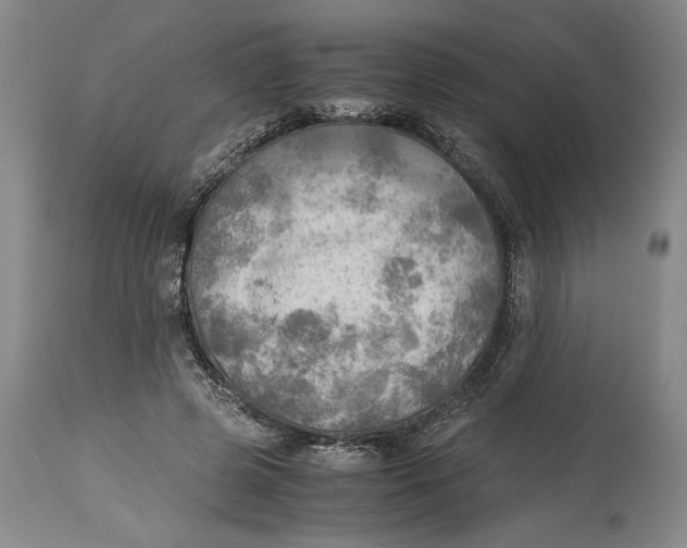 X0000115100545200911171243