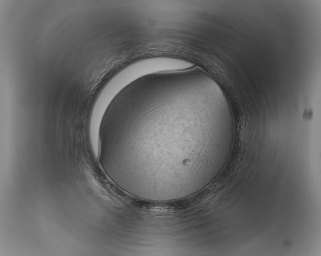 X0000115100546200911171243