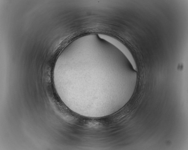 X0000115100547200911171243