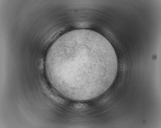 X0000115100549200911171243