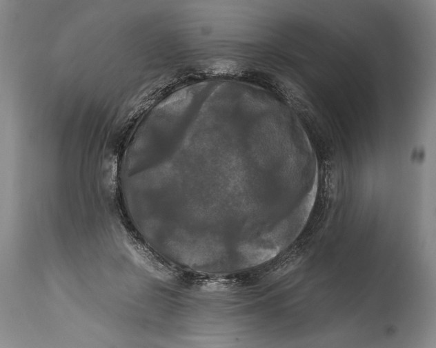 X0000115100550200911171243