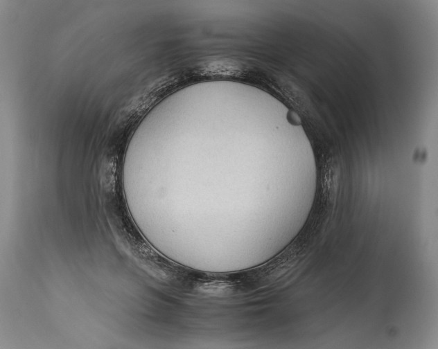 X0000115100551200911171243