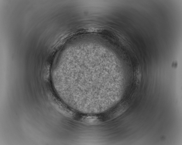 X0000115100554200911171243