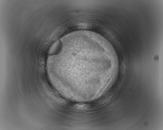 X0000115100557200911171243