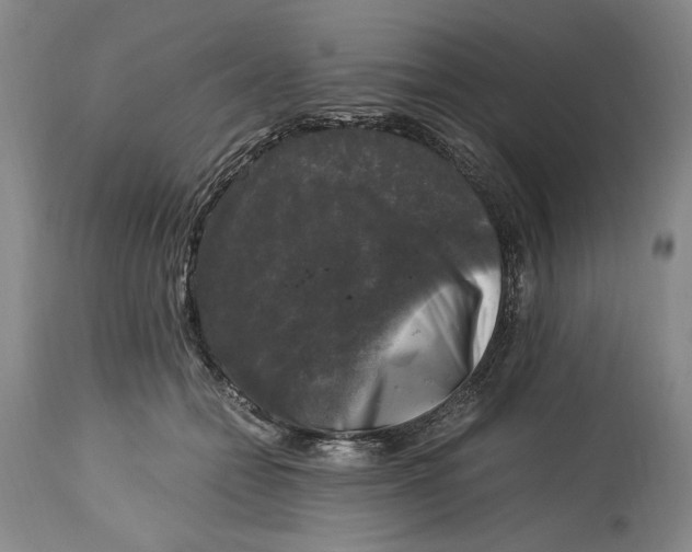 X0000115100558200911171243