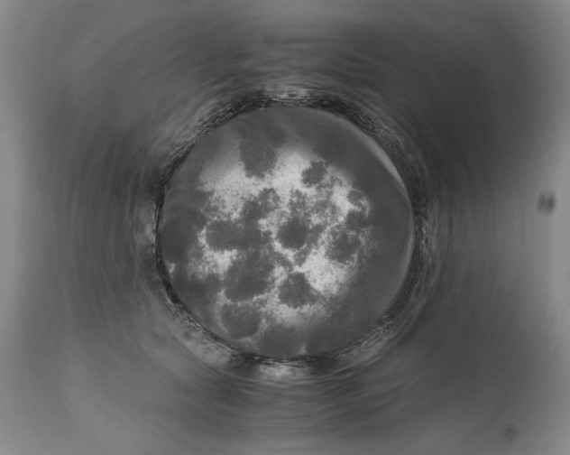 X0000115100561200911171243