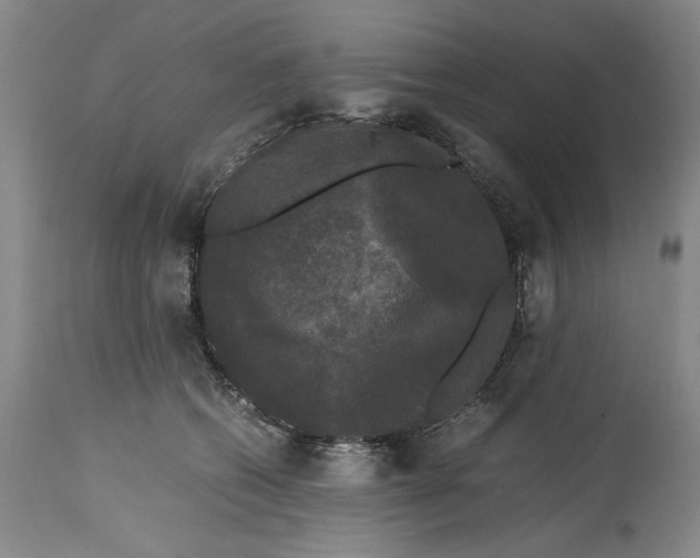 X0000115100562200911171243