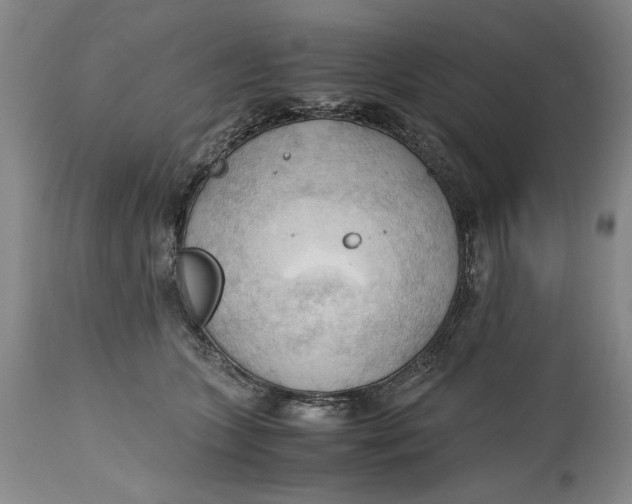 X0000115100563200911171243