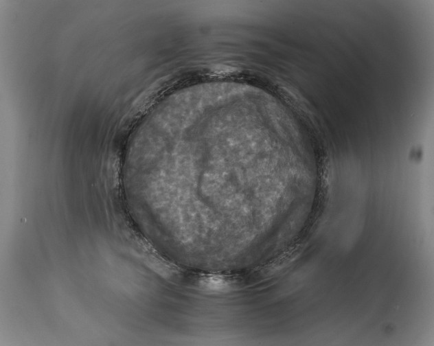 X0000115100565200911171243