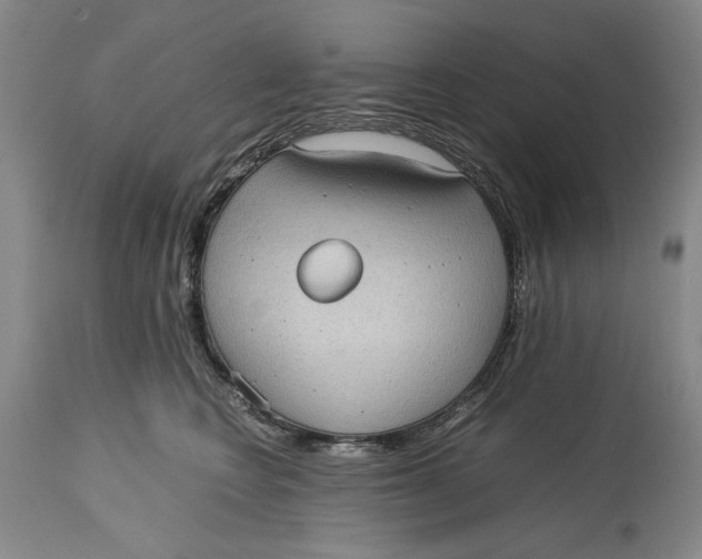 X0000115100566200911171243