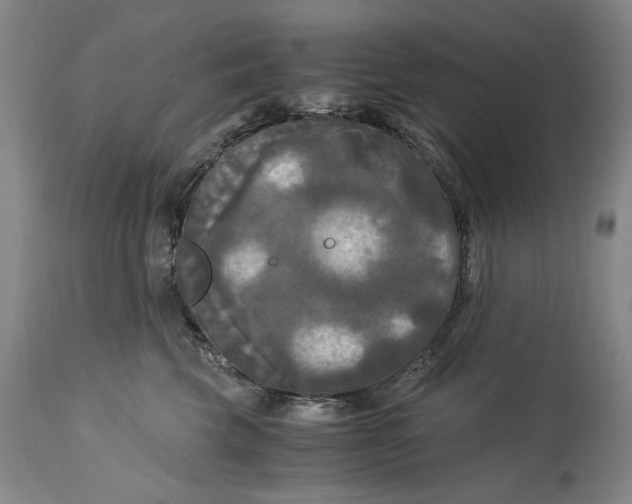 X0000115100569200911171243