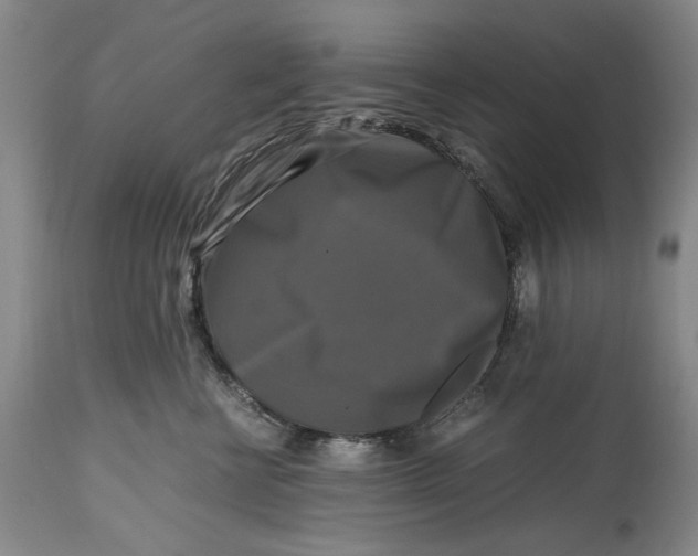 X0000115100570200911171243