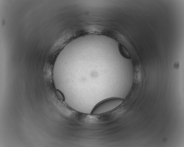 X0000115100573200911171243