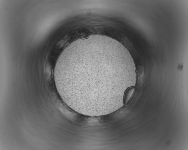 X0000115100574200911171243