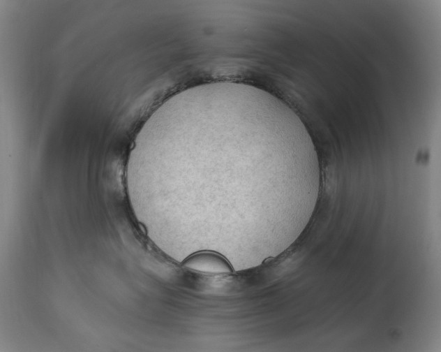 X0000115100575200911171243