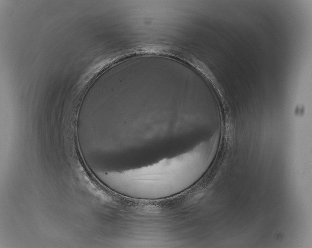 X0000115100577200911171243