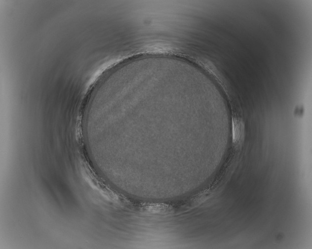 X0000115100579200911171243