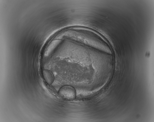 X0000115100580200911171243