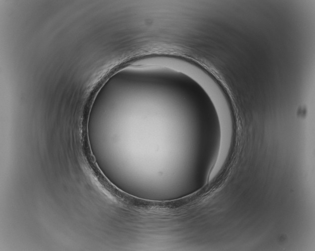 X0000115100581200911171243