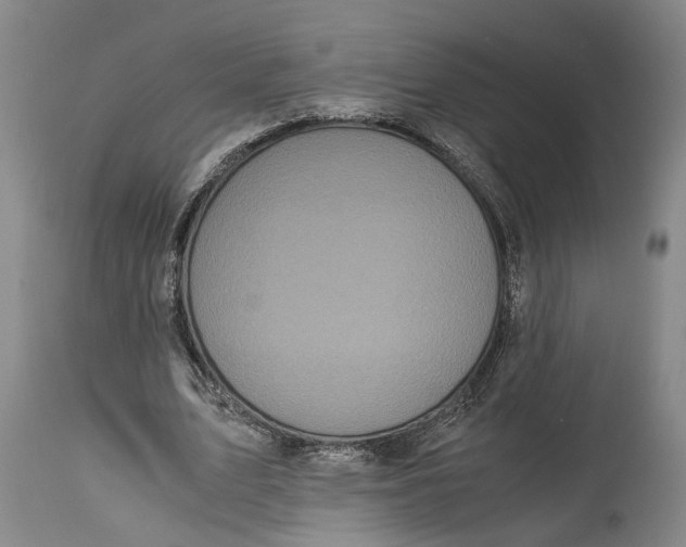 X0000115100583200911171243