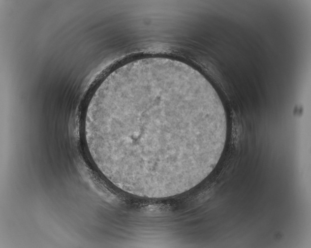 X0000115100584200911171242