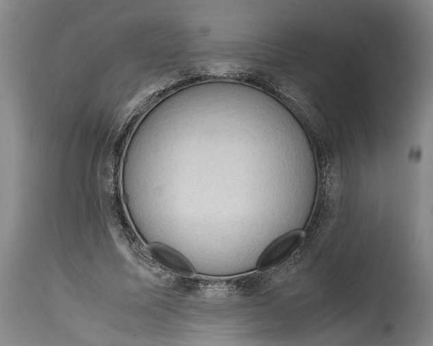 X0000115100587200911171242