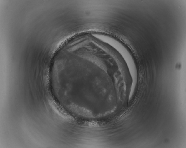 X0000115100588200911171242