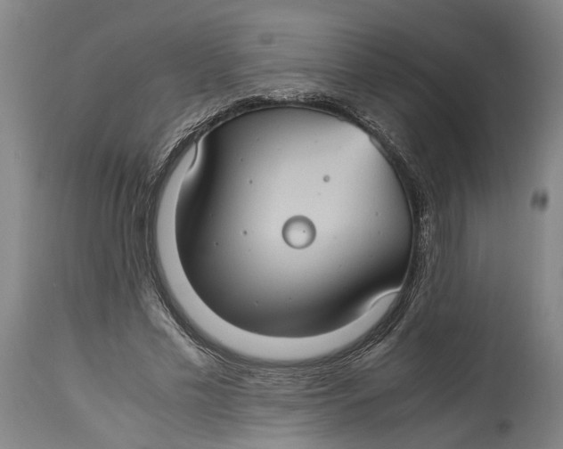 X0000115100589200911171242