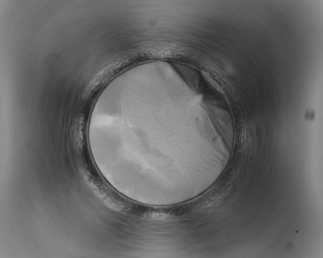 X0000115100590200911171242