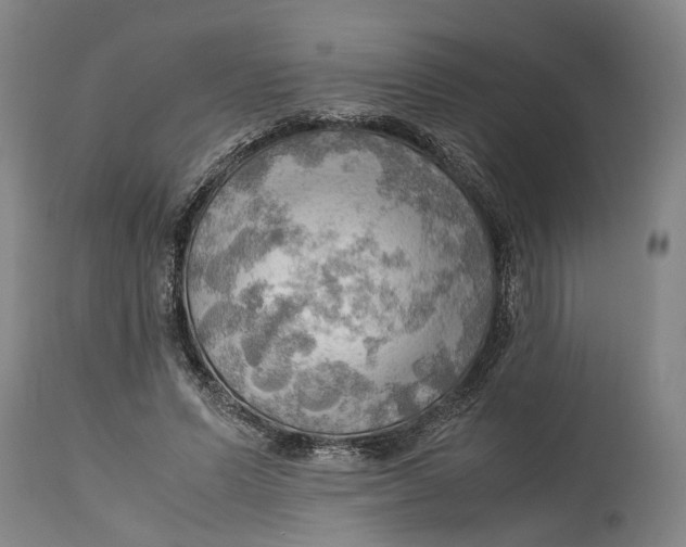 X0000115100591200911171242