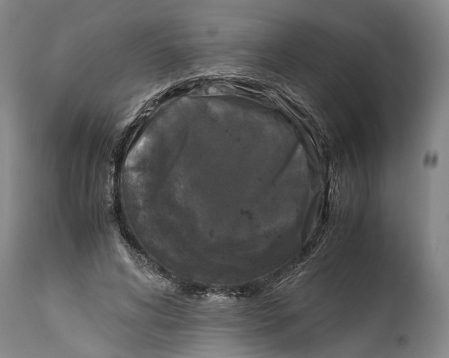 X0000115100592200911171242