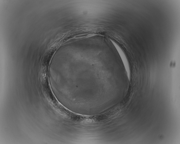 X0000115100593200911171242