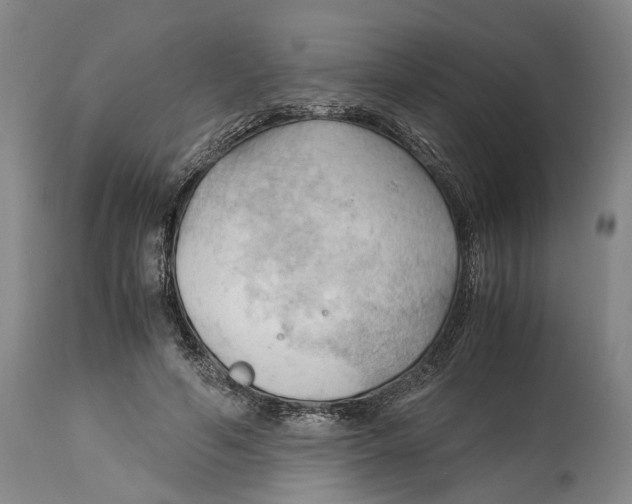 X0000115100594200911171242