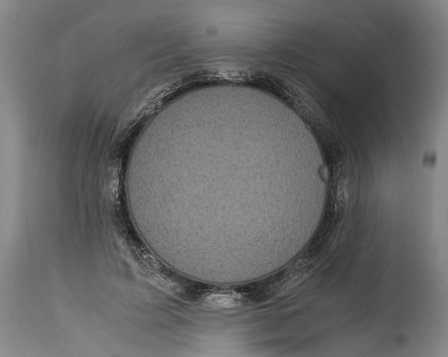 X0000115100595200911171242